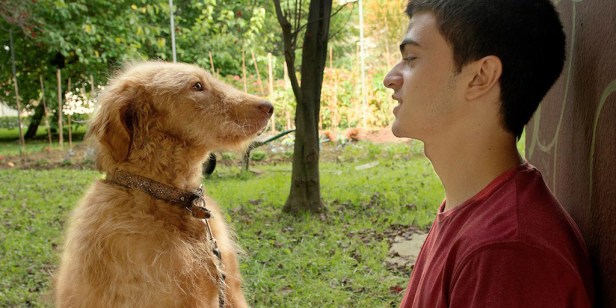 diecisiete-netflix-valores-emociones