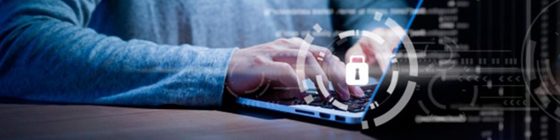 Seguretat i privacitat a les videotrucades