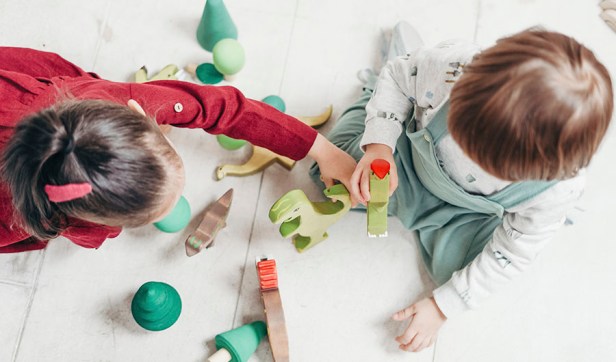 post-ASS-webinar-AnnaRamis-dins-3