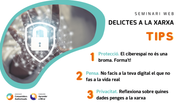 post-ACMAC-webinar-delictes-xarxa-2